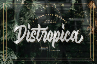 Distropica: A Display Font That Breathes Quiet Confidence