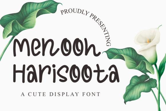 Menooh Harisoota: A Playful Display Font for Small Business Branding