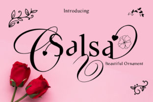 Salsa: A Serif Display Font That Elevates Handmade Design